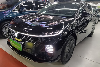 岚图汽车 岚图知音 2024款 四驱全球版