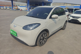 五菱汽车 五菱缤果 2023款 333km 悦享款