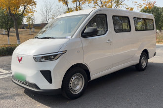 五菱汽车 五菱扬光 2024款 300KM 舒适型客车版 75kW