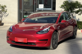 特斯拉 Model 3 2020款 改款 标准续航后驱升级版