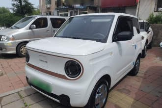 吉利银河 2024款 熊猫mini 200km 耐力熊