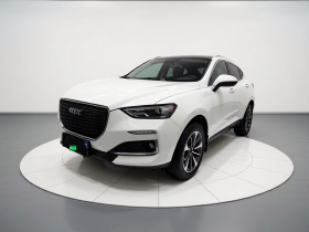 哈弗F5 2019款 国潮版 1.5T i潮 国VI