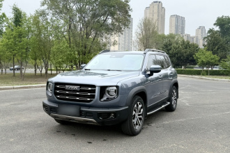 哈弗大狗 2022款 1.5T DCT两驱边牧版
