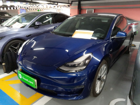 特斯拉 Model 3(进口) 2019款 长续航后驱版