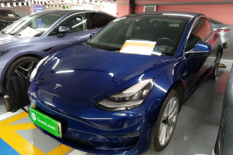 特斯拉 Model 3(进口) 2019款 长续航后驱版