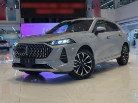 魏牌 摩卡 2021款 2.0T 两驱特浓版