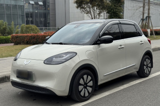 五菱汽车 五菱缤果 2023款 333km 悦享+款