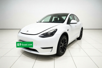 特斯拉 Model Y 2022款 后轮驱动版