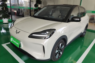 五菱汽车 五菱缤果PLUS 2024款 510km 五座版