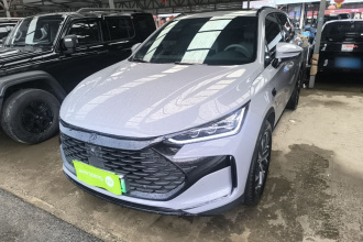 比亚迪 唐新能源 2025款 智驾版 DM-i 115KM 尊贵型