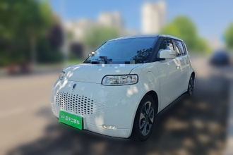 欧拉白猫 2020款 305km 豪华型