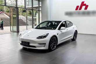 特斯拉 Model 3 2021款 Performance高性能全轮驱动版 3D6