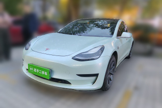 特斯拉 Model 3 2020款 标准续航后驱升级版