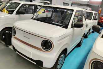 吉利银河 2024款 熊猫mini 200km 耐力熊