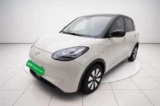 五菱汽车 五菱缤果 2023款 333km 灵犀互联款