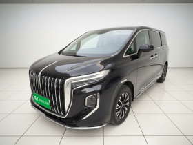 红旗HQ9 PHEV 2024款 2.0T 四驱商务版