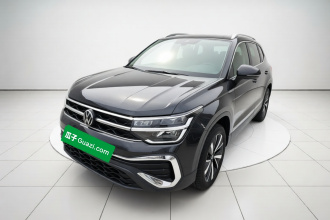 大众 途岳 2023款 300TSI 两驱皎月版