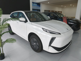 东风风行 风行雷霆 2024款 410 实力版