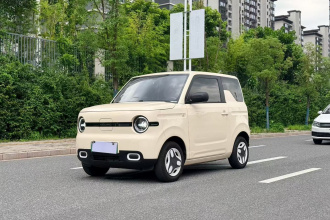 吉利银河 2025款 熊猫mini 210km 元气熊
