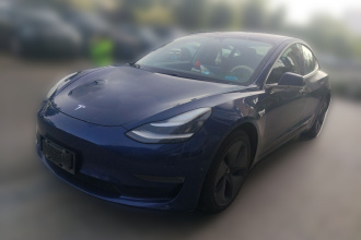 特斯拉 Model 3(进口) 2019款 长续航后驱版