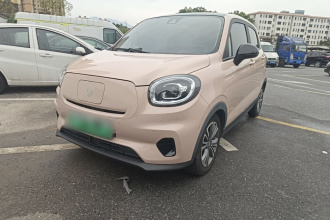 零跑汽车 零跑T03 2021款 400豪华版
