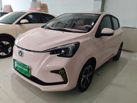 长安 奔奔E-Star 2020款 心动版 磷酸铁锂（31.18kWh）