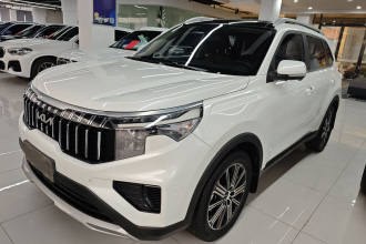 起亚 智跑 2021款 Ace 2.0L 精彩版