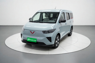 五菱汽车 五菱扬光 2024款 300km 舒适型客车版 75kW