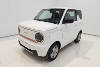 吉利银河 2024款 熊猫mini 200km 耐力熊