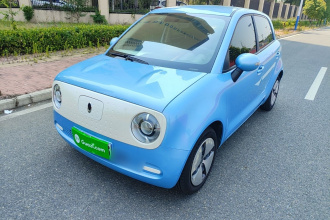 欧拉黑猫 2021款 301km 基础型