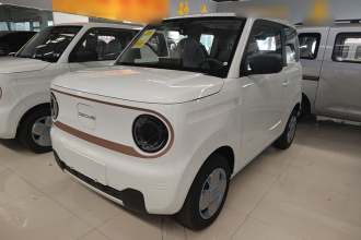 吉利银河 2024款 熊猫mini 200km 耐力熊