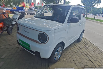 吉利银河 2024款 熊猫mini 200km 耐力熊