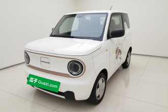 吉利银河 2023款 熊猫mini 200km 耐力熊