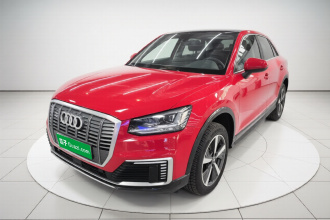 奥迪Q2L e-tron 2019款 Q2L e-tron 纯电智享型