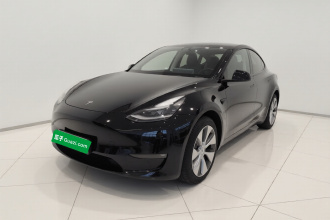 特斯拉 Model Y 2021款 标准续航后驱版