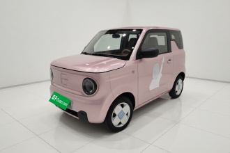 吉利银河 2023款 熊猫mini 200km 耐力熊