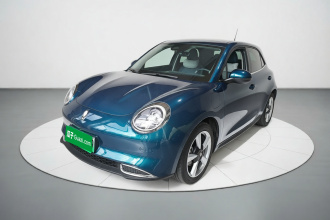 欧拉好猫 2023款 401km标准续航 尊贵型 磷酸铁锂