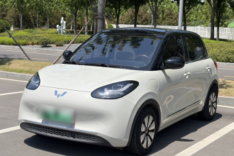 五菱汽车 五菱缤果 2023款 333km 灵犀互联+款