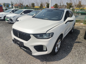 魏牌 VV5 2019款 1.5T 两驱颜先锋