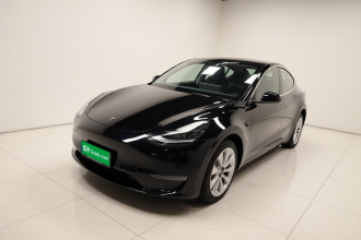 特斯拉 Model Y 2021款 长续航全轮驱动版 3D7