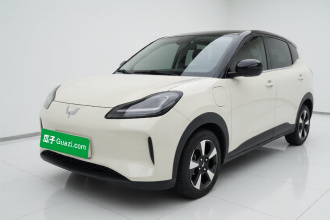 五菱汽车 五菱缤果PLUS 2024款 330km 五座版
