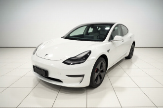 特斯拉 Model 3 2020款 标准续航后驱升级版