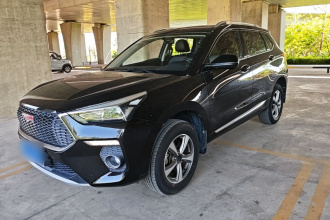 哈弗H6 Coupe 2018款 红标 1.5T 自动两驱豪华型