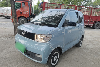 五菱汽车 宏光MINIEV 2022款 轻松款 磷酸铁锂