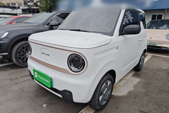 吉利银河 2023款 熊猫mini 200km 耐力熊