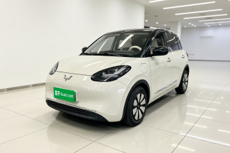 五菱汽车 五菱缤果 2024款 333km 悦享款