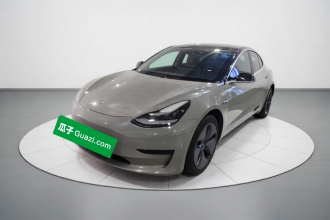 特斯拉 Model 3 2019款 标准续航后驱升级版