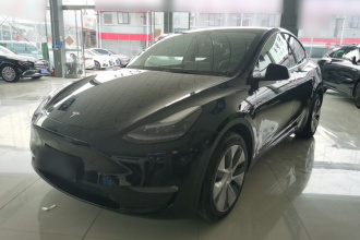 特斯拉 Model Y 2022款 改款 长续航全轮驱动版