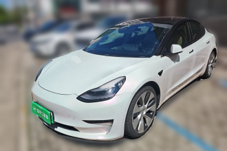 特斯拉 Model 3(进口) 2019款 Performance高性能全轮驱动版