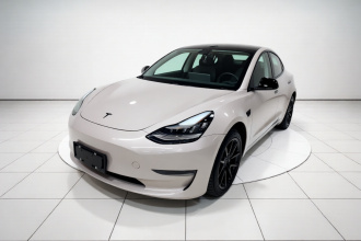 特斯拉 Model 3(进口) 2019款 长续航后驱版